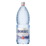 APA PLATA BORSEC 2L